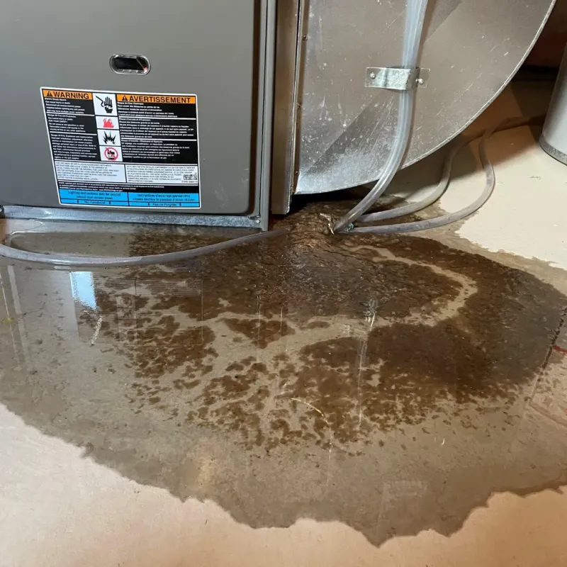 Appliance Leak Cleanup in Cedar Point, NC